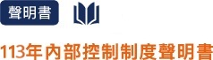 113年內部控制制度聲明書